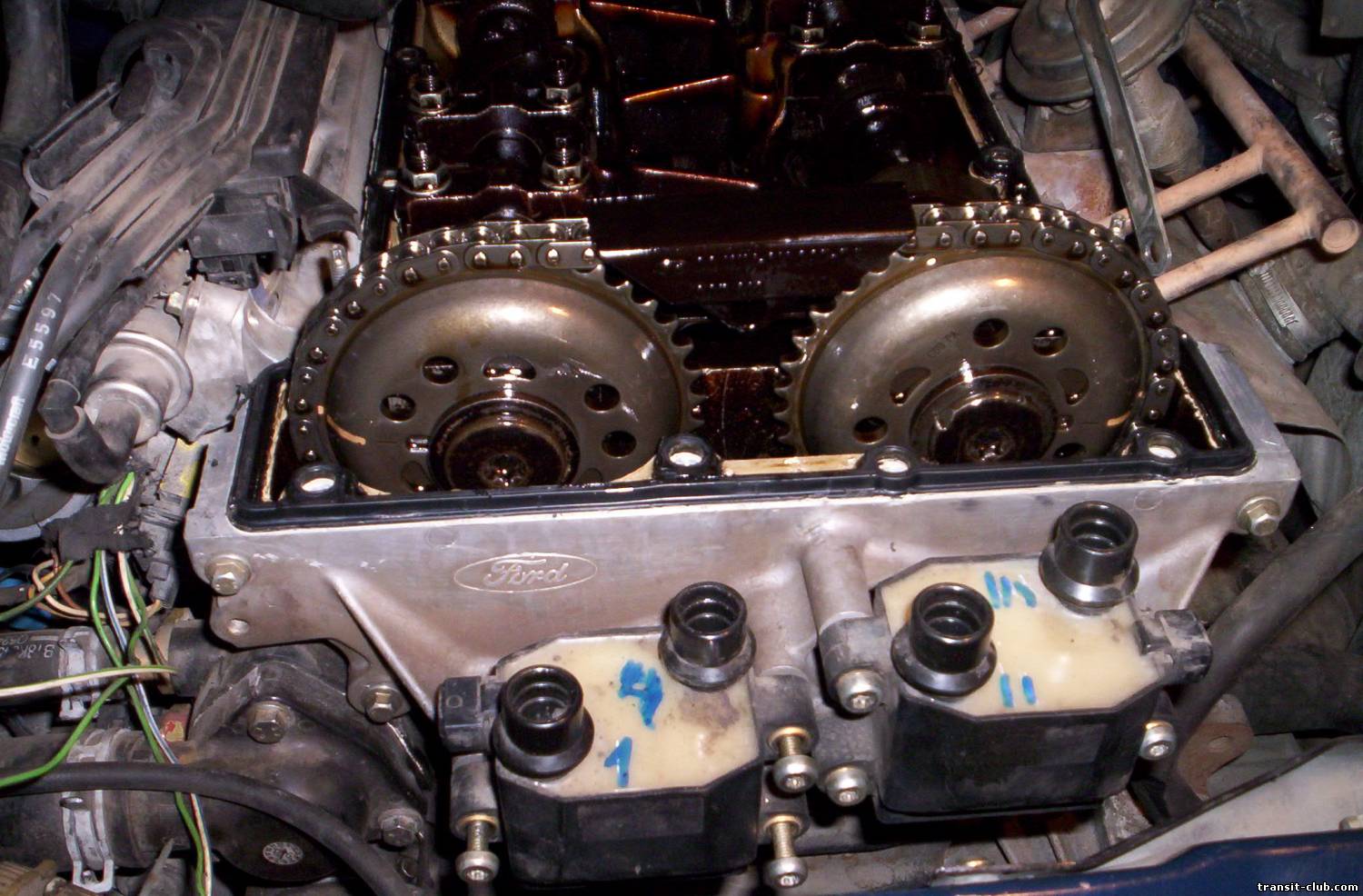 Ремонт двигателя транзит. Форд Транзит DOHC 2.0. Гидрокомпенсаторы Форд Транзит 2.2 дизель. Гидрокомпенсаторы Форд Транзит 2.2 дизель 155. Двигатель Форд Транзит 2.0 бензин.